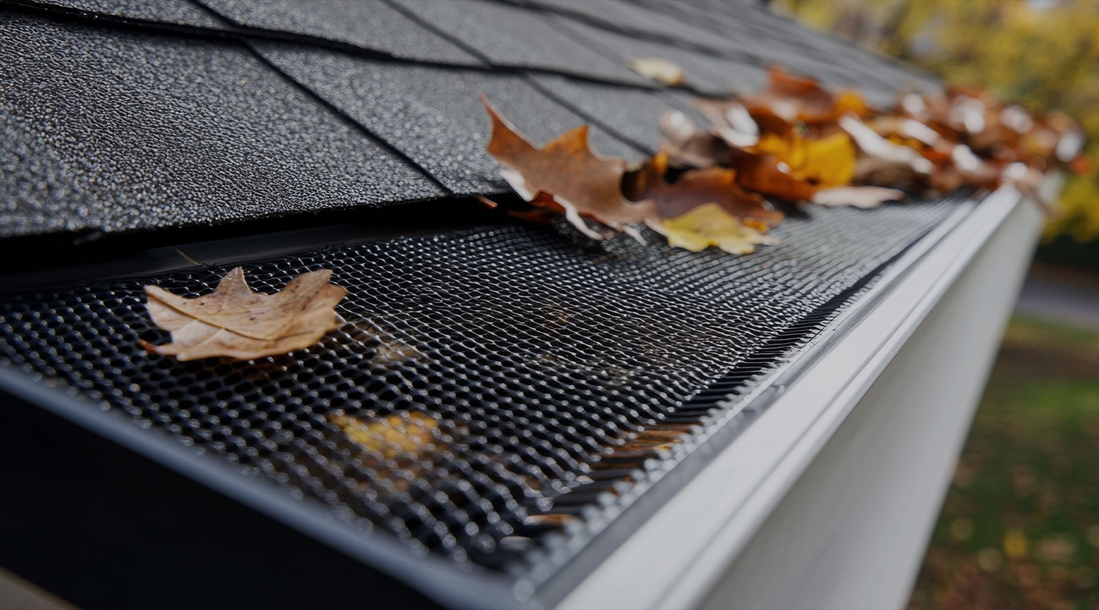 Gutter Guard